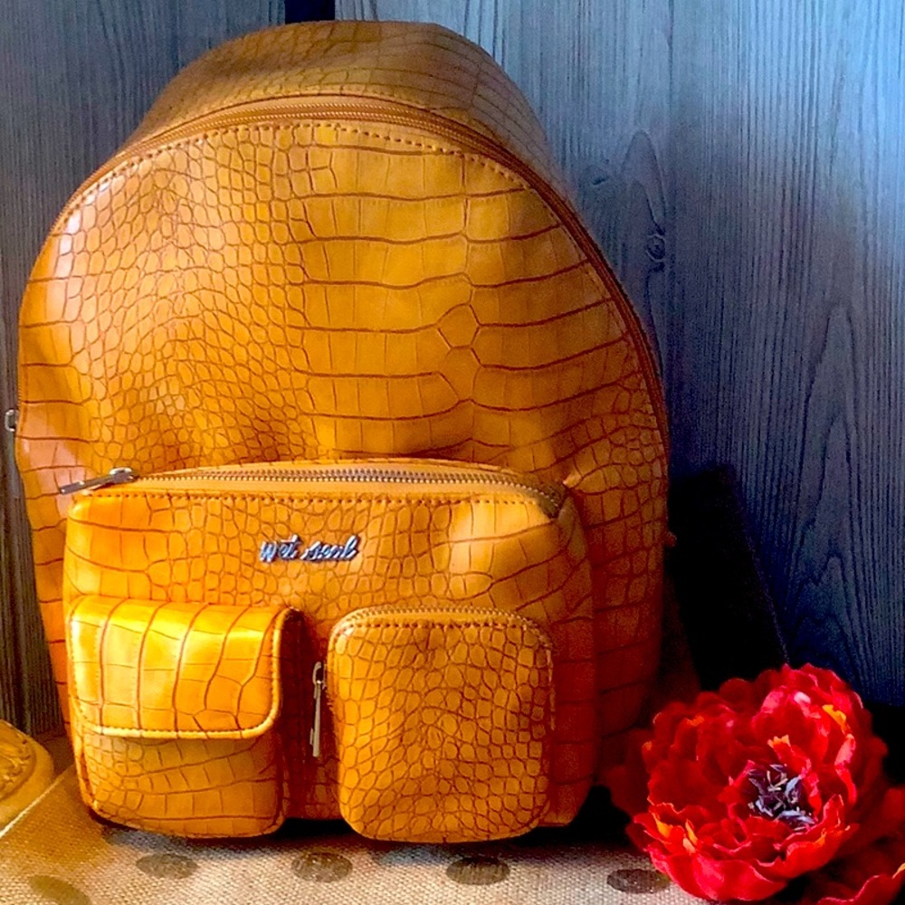 Back pack purse